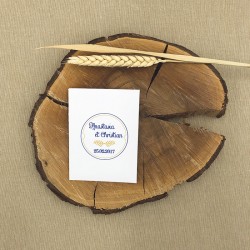 Sachet de graines Navy Gold