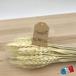 Escort card Guinguette